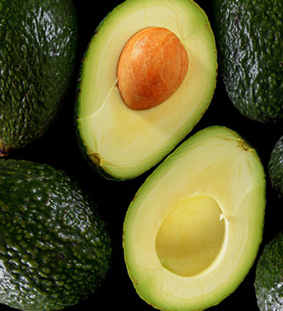 Avocado Hass