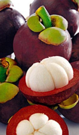 Mangostino Fruit