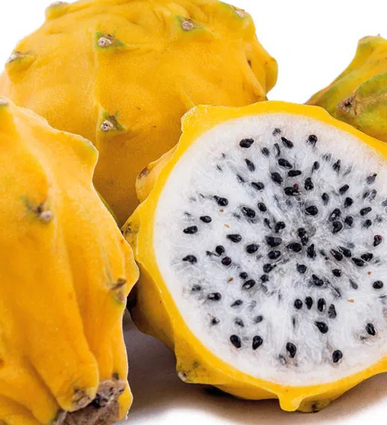 Yellow Pitahaya
